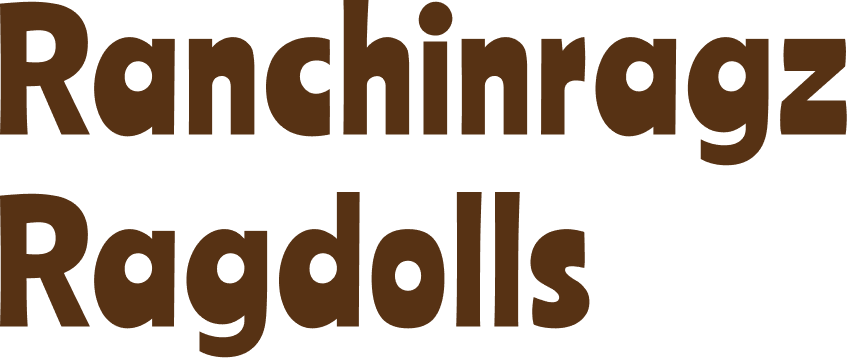 Ranchinragz Ragdolls
